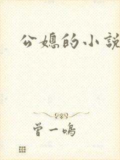 公媳的小说