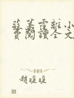 苏莱霍离小说免费阅读全文封面