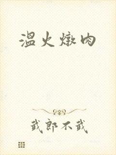 温火炖肉