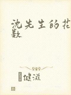 沈先生的花式调数