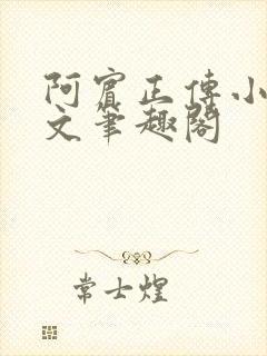 阿宾正传小说全文笔趣阁