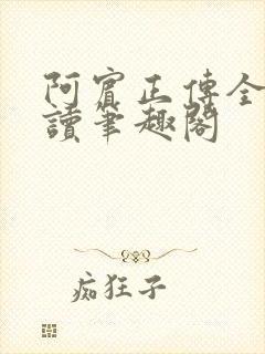 阿宾正传全文阅读笔趣阁封面