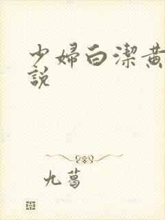 少妇白洁黄色小说封面