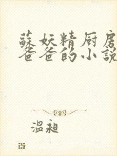 苏妖精厨房爹爹爸爸的小说