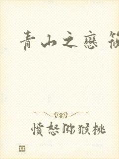 青山之恋 筱禾封面