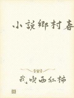 小说乡村春光