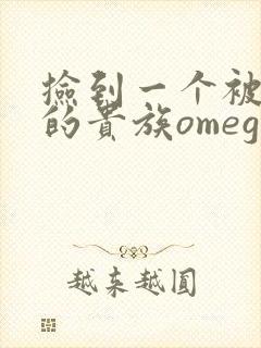 捡到一个被抹布的贵族omega封面