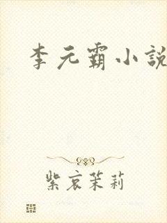 李元霸小说