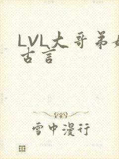 LVL大哥弟媳古言封面