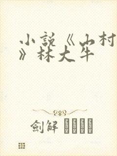 小说《山村情事》林大牛