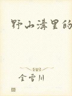 野山沟里的村庄