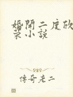 婚开二度欣欣向荣小说