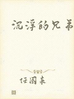 沉浮的兄弟封面