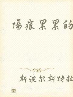 伤痕累累的勋章