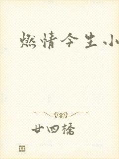 燃情今生小说封面