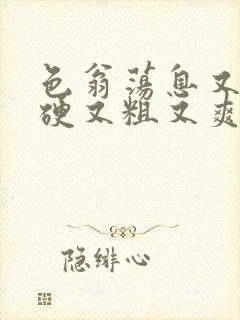 色翁荡息又大又硬又粗又爽电影