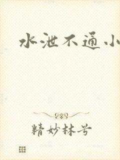 水泄不通小说