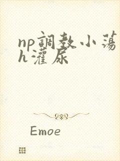 np调教小荡货h灌尿