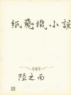 纸飞机小说