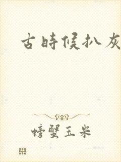 古时候扒灰小说封面