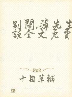 别闹,薄先生小说全文免费阅读