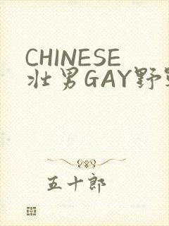 CHINESE壮男GAY野战强迫TUBE