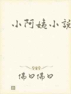 小阿姨小说