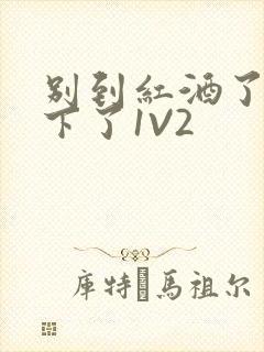 别到红酒了装不下了1V2