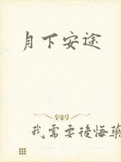 月下安途封面