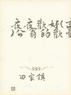 夜夜欢好(高h)公翁的欢爱