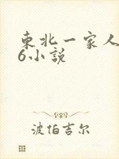 东北一家人1一6小说