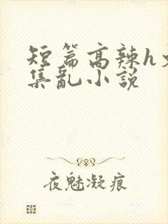 短篇高辣h文合集乱小说