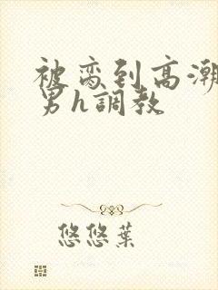 被脔到高潮的直男h调教