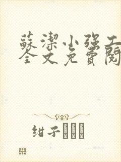 苏洁小强工地情全文免费阅读封面