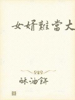 女婿难当大结局封面