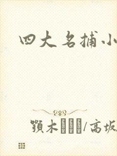 四大名捕小说