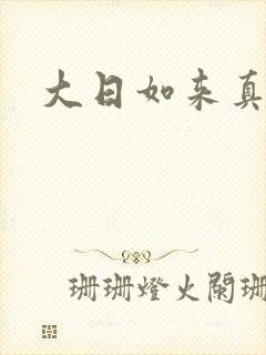 大日如来真经封面