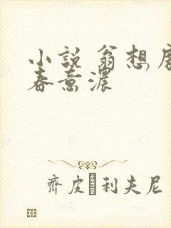 小说 翁想房中春意浓