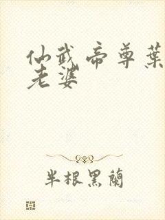 仙武帝尊叶辰的老婆