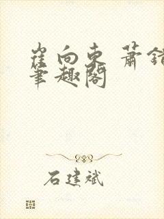 崔向东 萧错 笔趣阁封面