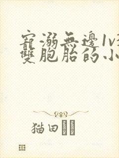 宠溺无边1v3双胞胎的小说