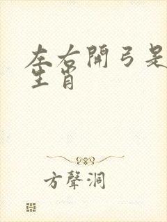 左右开弓是什么生肖