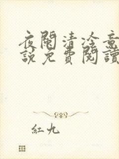 夜阑清冷意欢小说免费阅读