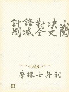 针锋对决小说未删减全文阅读