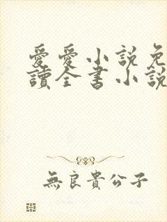 爱爱小说免费阅读全书小说乡村封面