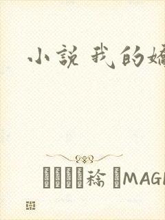 小说 我的娇妻