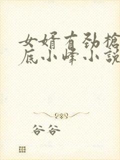 女婿有劲枪枪到底小峰小说