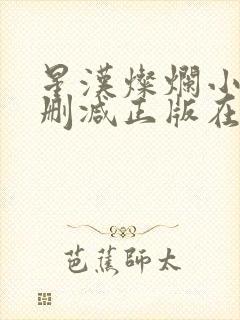 星汉灿烂小说无删减正版在线阅读封面