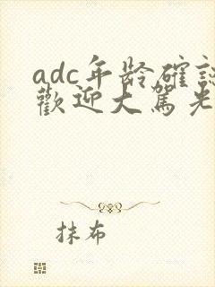 adc年龄确认欢迎大驾光临小说