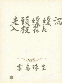 老头缓缓沉腰进入校花h